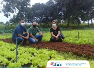 Ubaí terá horta comunitária